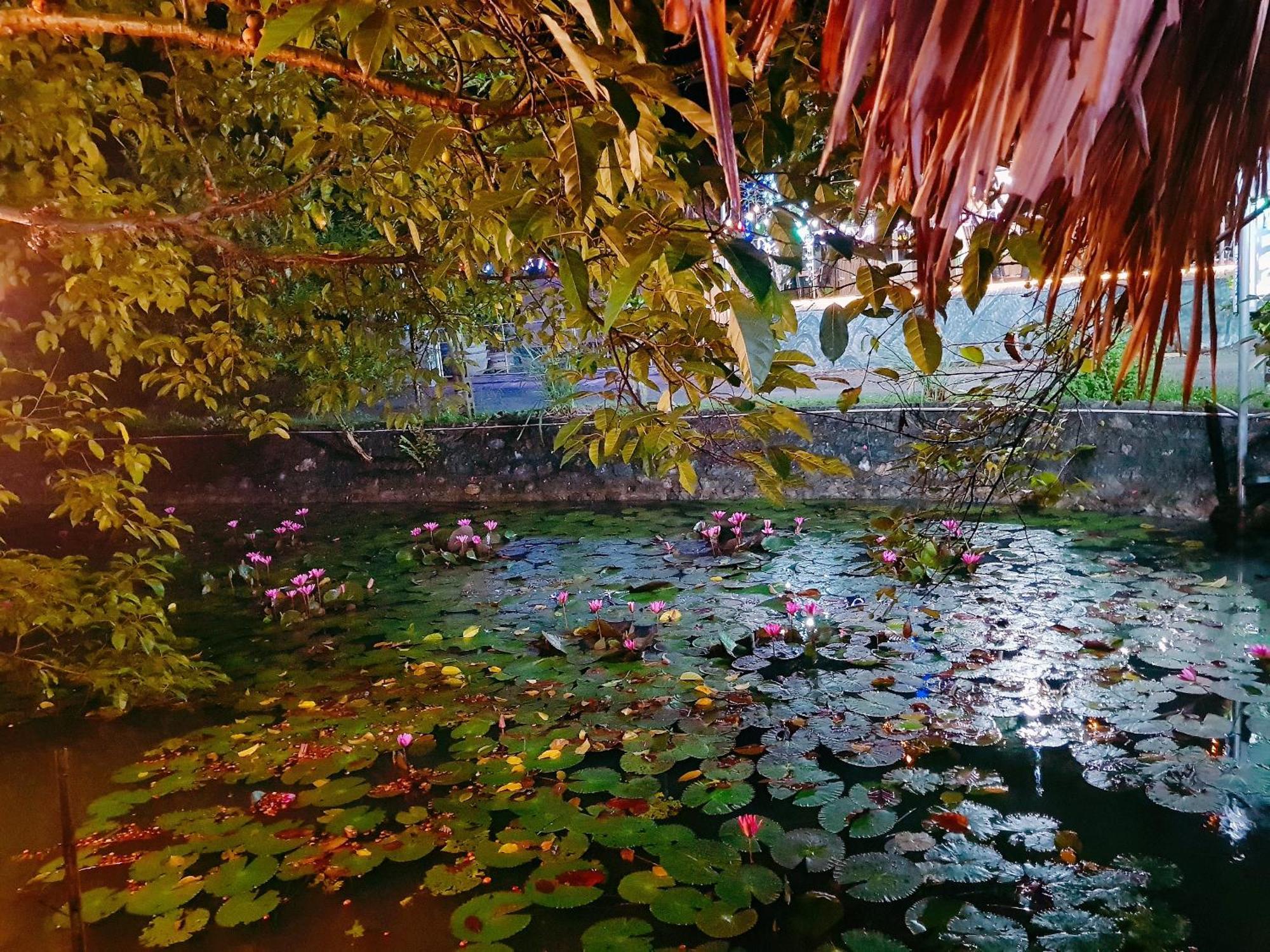 Quoc Khanh Bamboo Homestay Ninh Bình Kültér fotó